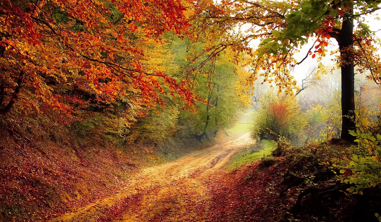 Kanatal Hill Escape