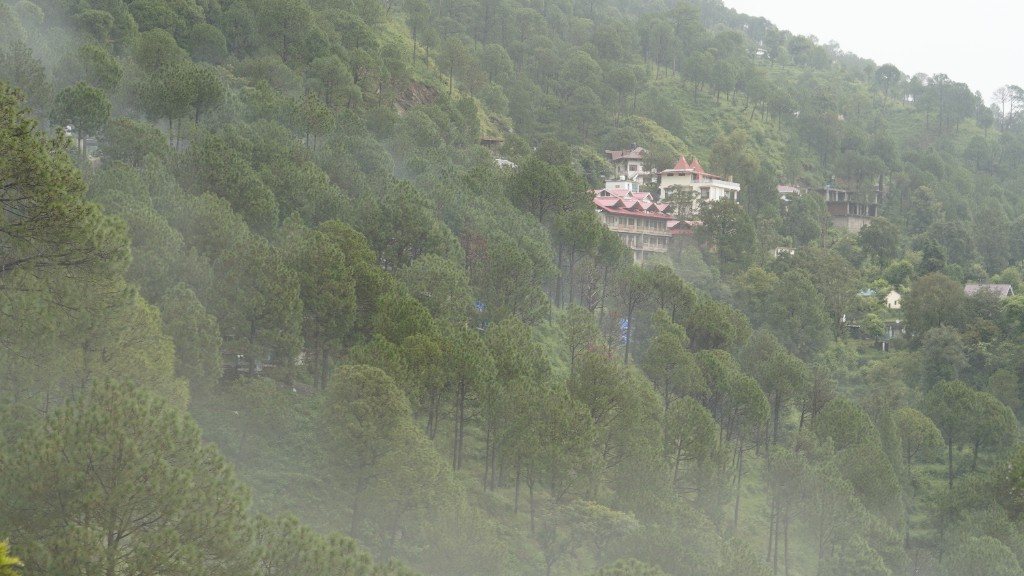 Guests exploring a hill-station street together