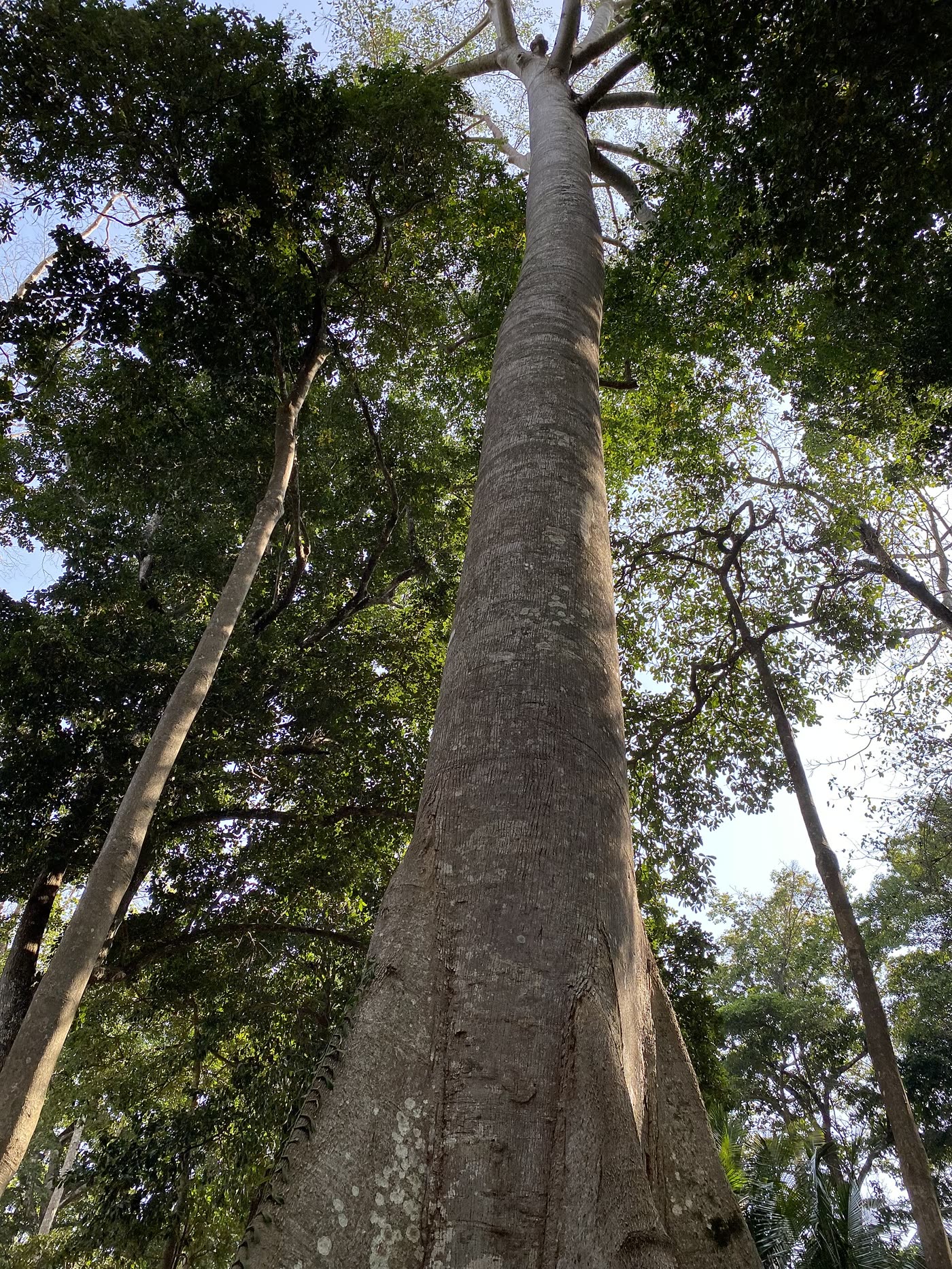 Andaman Islands Signature Escape