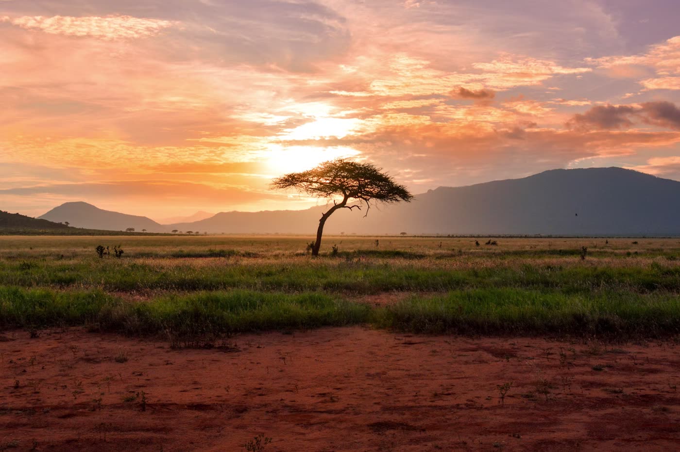 Masai Mara Safari Journey