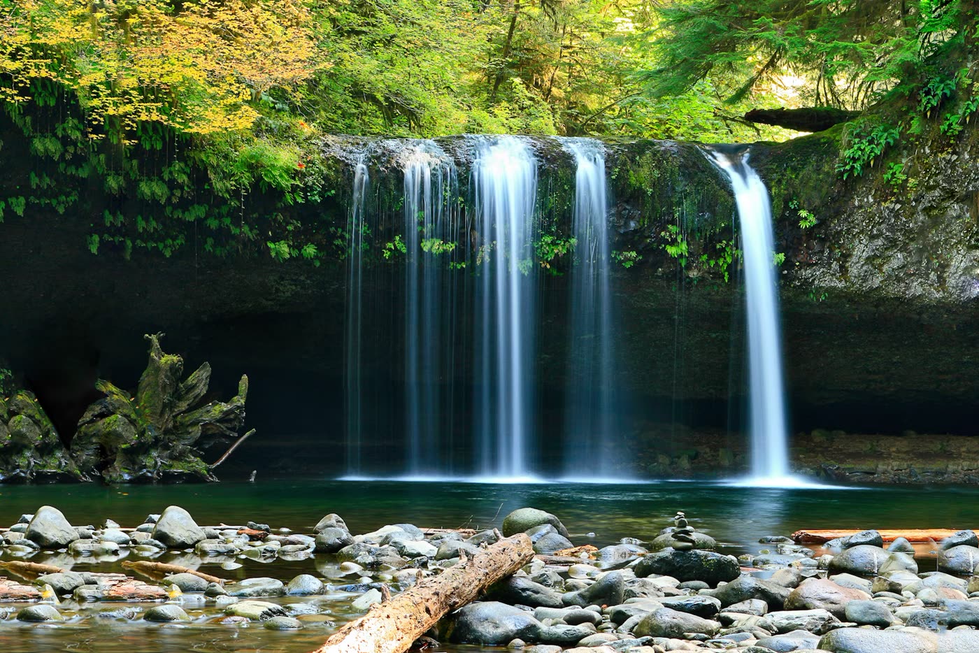 Meghalaya Cloud Forest Journey