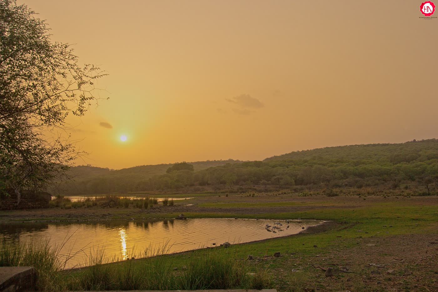 Ranthambore Tiger Sanctuary
