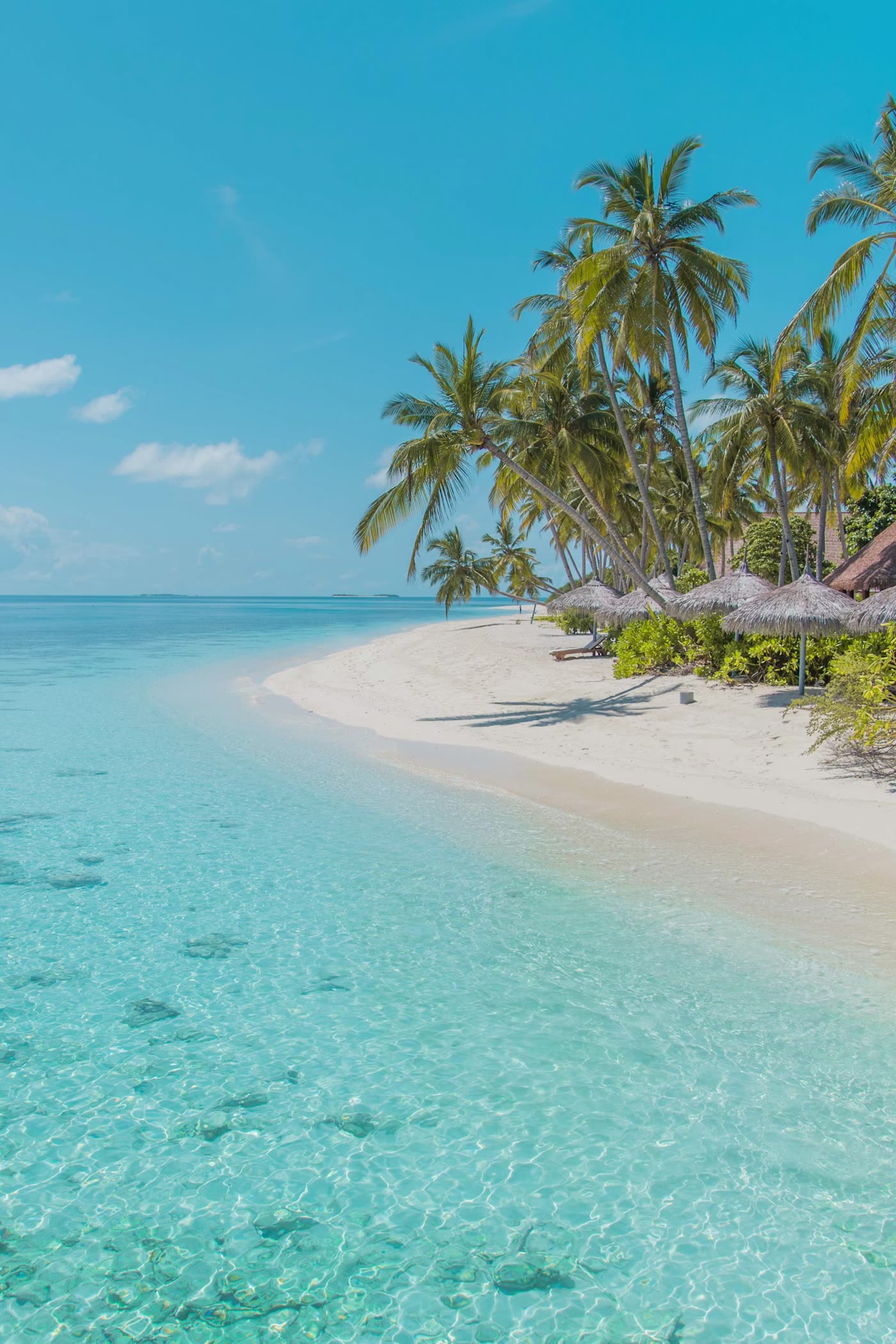 Sri Lanka Island Journey
