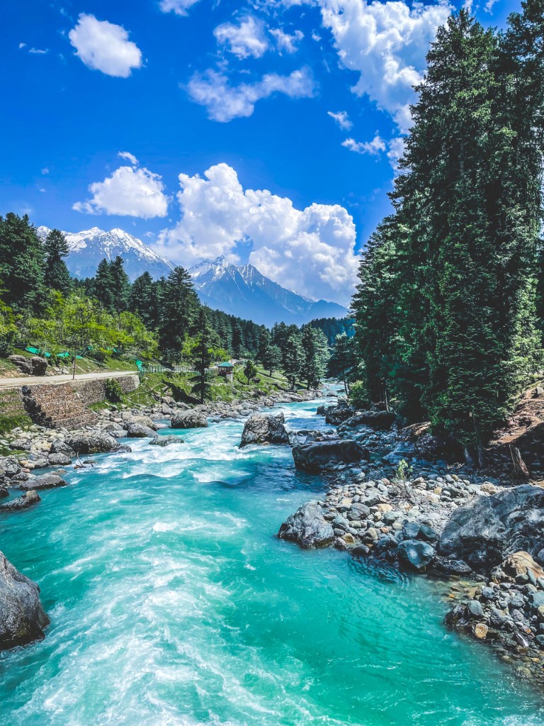 Pahalgam valley with pine forest and river views