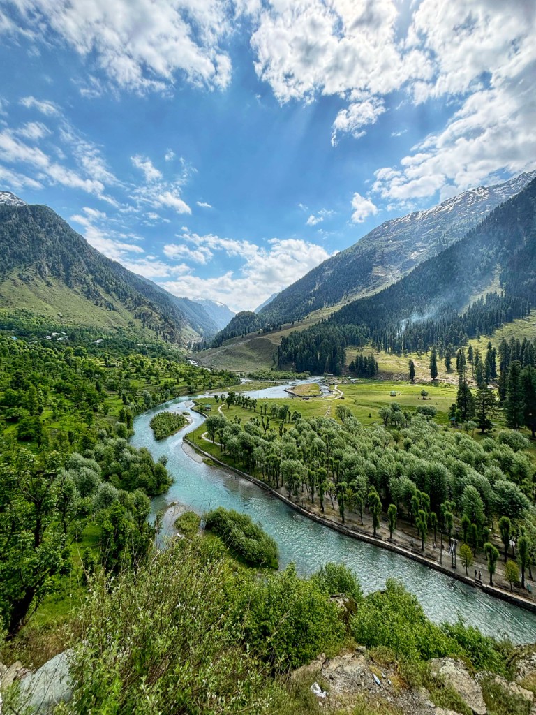 Betaab Valley pine forest meadow with river, Pahalgam