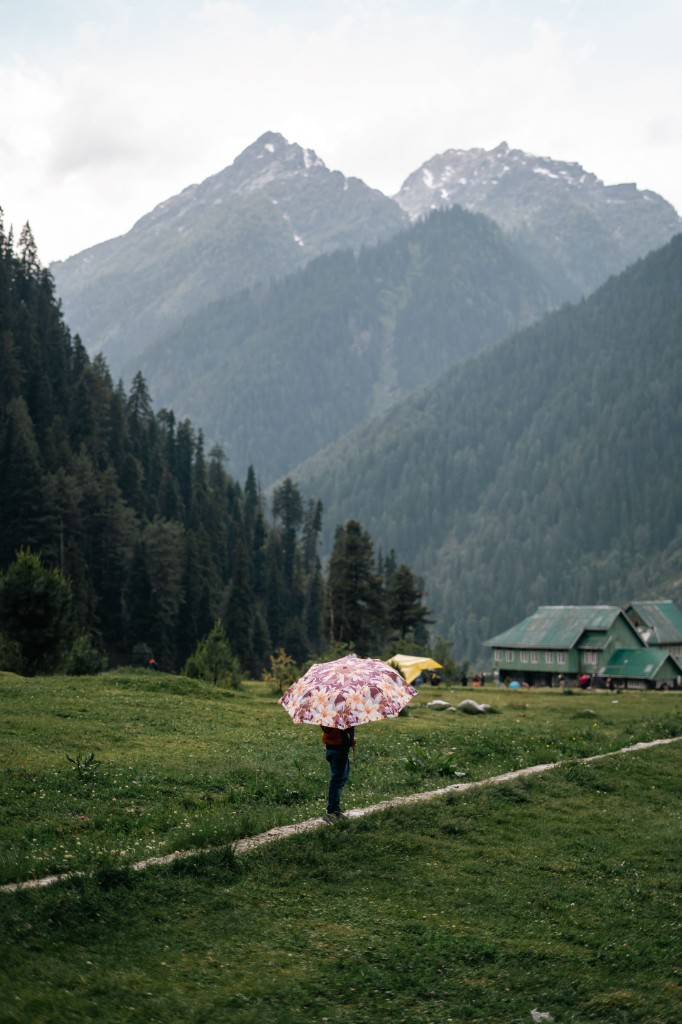Turquoise river flowing through pine forests in Pahalgam