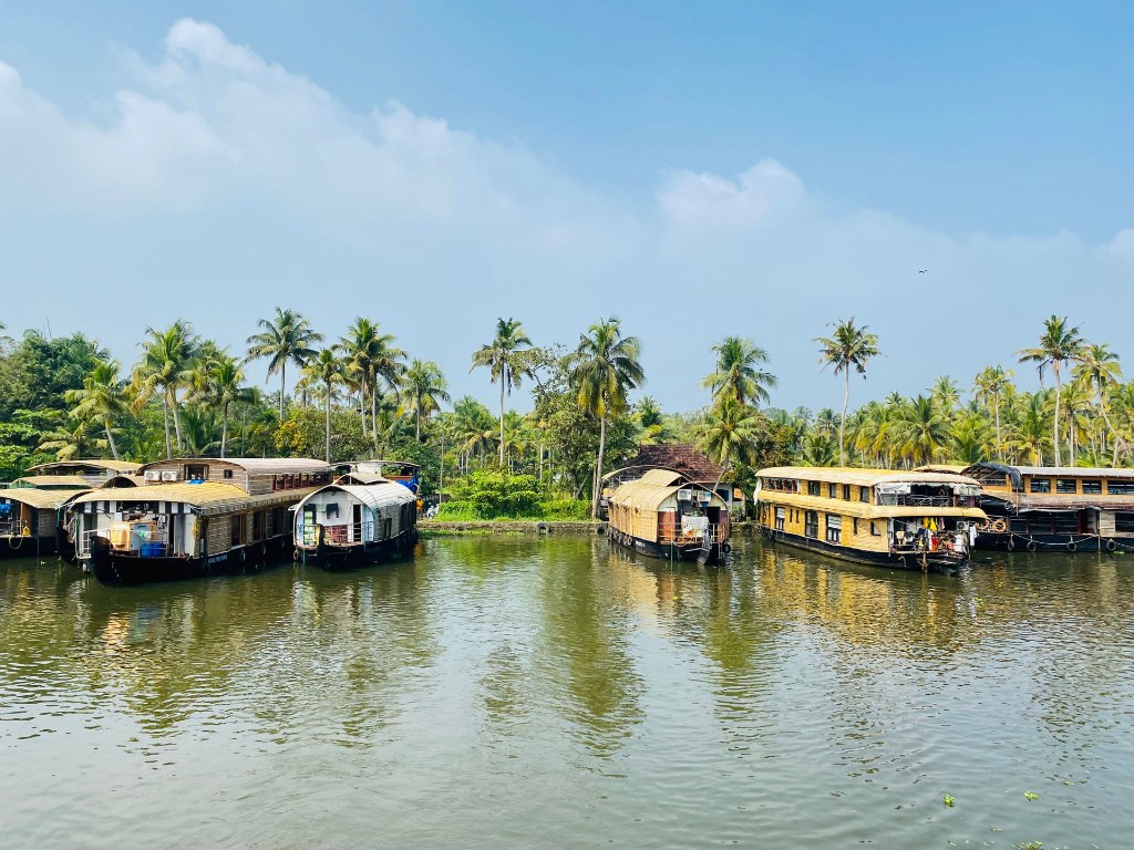 Traditional Kerala houseboats moored along the Alleppey backwaters