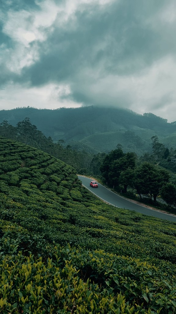 Scenic road through Munnar tea plantations in the mist