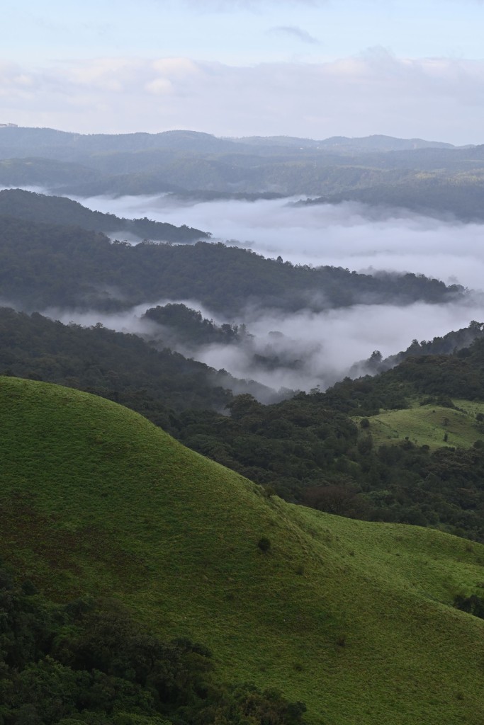 Coorg coffee plantation with mist and Western Ghats