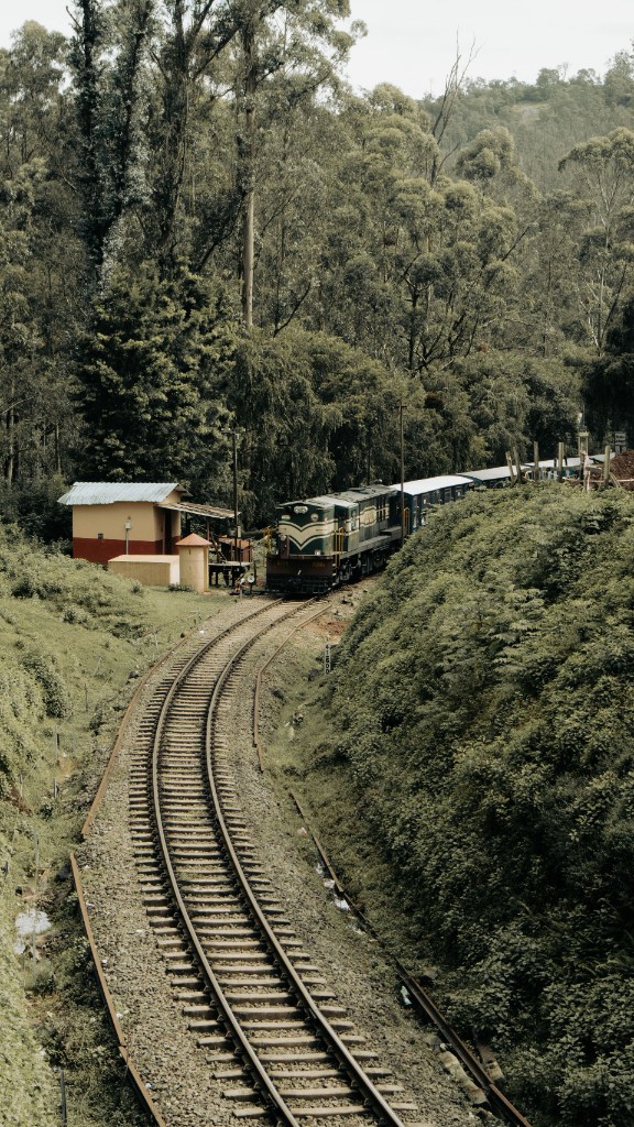 The Southern Sanctuaries - Nilgiri mountain railway through lush green hills near Ooty