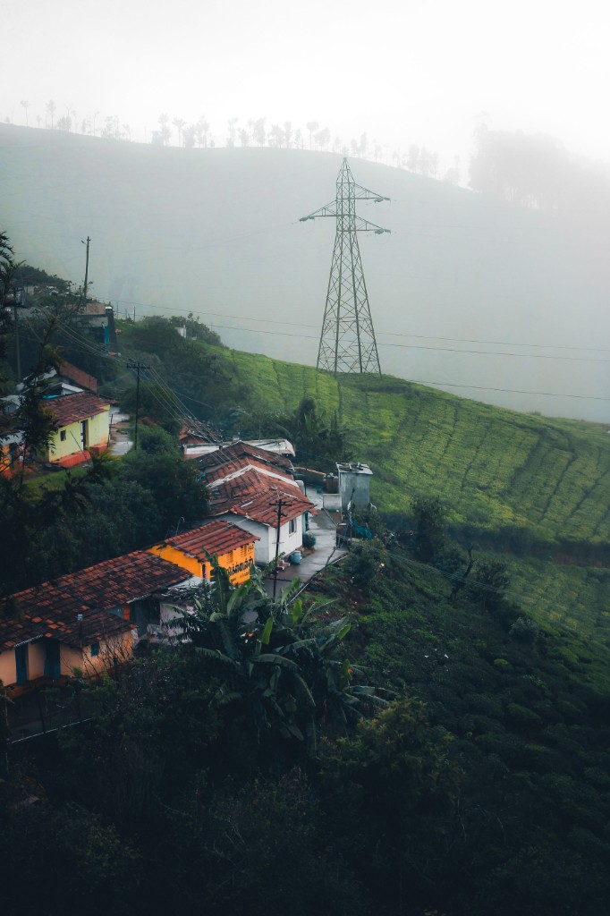 Misty tea estate hillside with village rooftops in the Nilgiris
