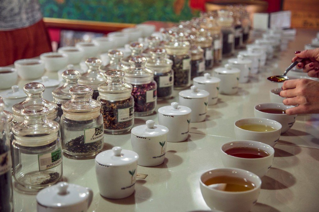 Coorg coffee tasting ceremony with estate-fresh arabica beans