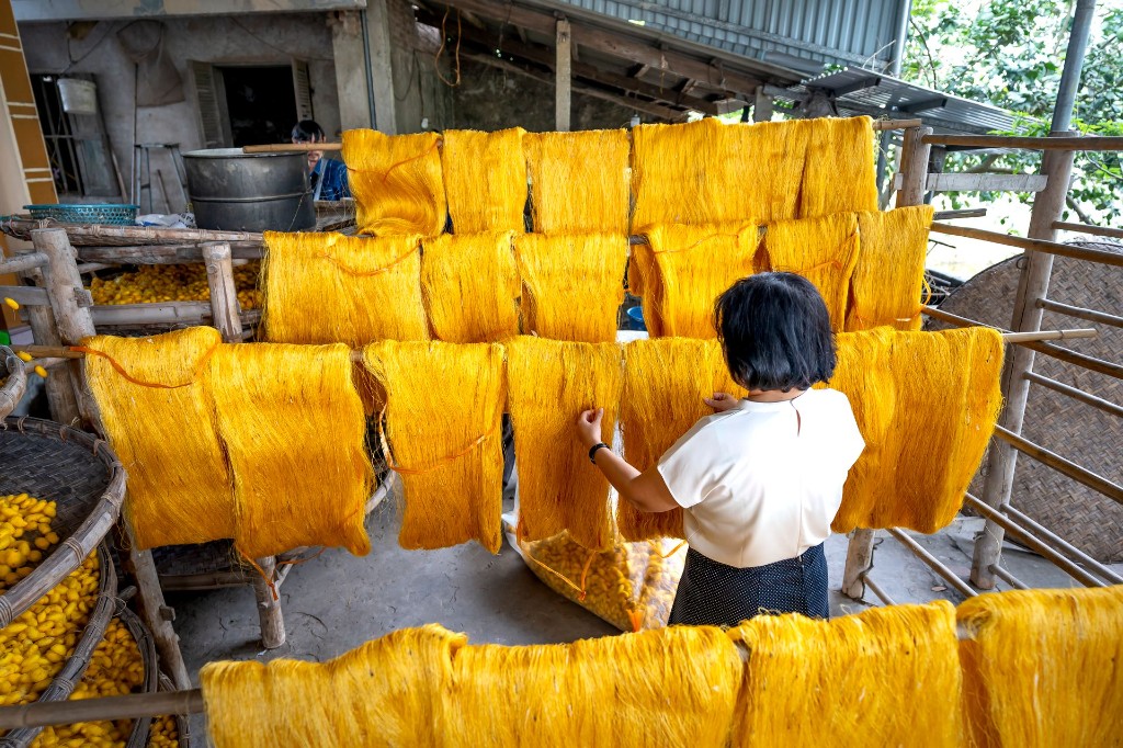 Mysuru silk weaving at Government Silk Factory